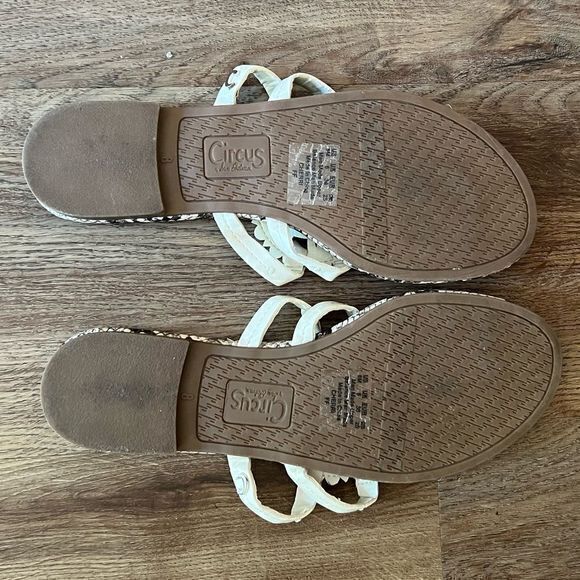 Circus by Sam Edelman Cherri Medallion Flat Sandals Snake Print Taupe Black SZ 8 - Picture 5 of 6